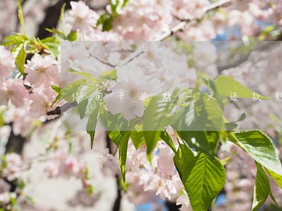 信用卡逾期一天还款影响征信