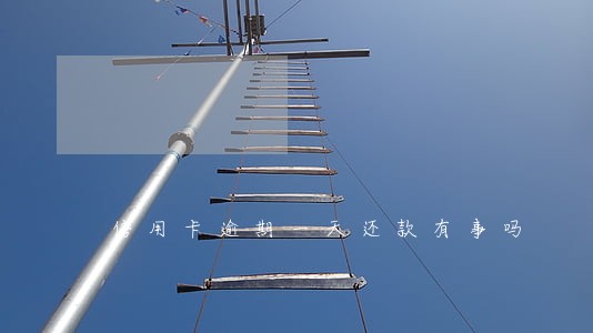 信用卡逾期一天还款有事吗 信用卡逾期一天还款有事吗