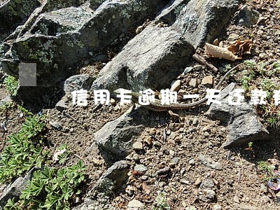 信用卡逾期一天还款有利息 信用卡逾期一天还款有利息