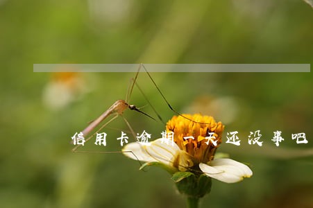 信用卡逾期一天还没事吧 信用卡逾期一天还没事吧