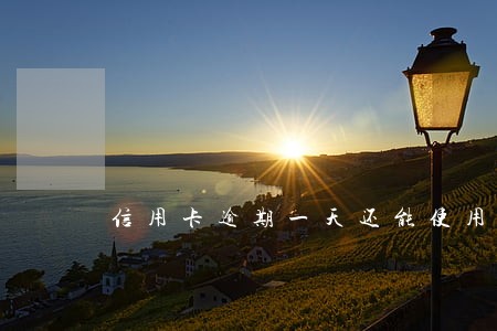 信用卡逾期一天还能使用吗 信用卡逾期一天还能使用吗