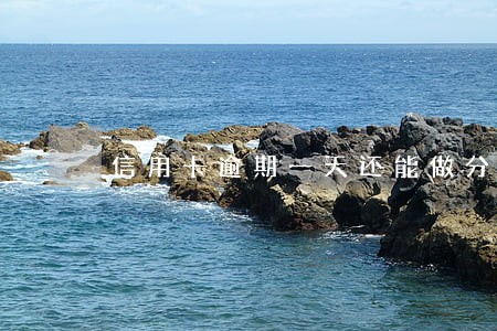 信用卡逾期一天还能做分期吗