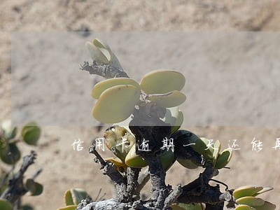 信用卡逾期一天还能再授信嘛 信用卡逾期一天还能再授信嘛