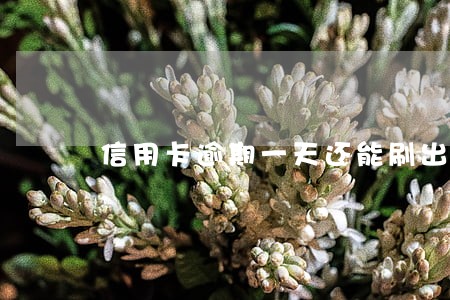 信用卡逾期一天还能刷出来拿 信用卡逾期一天还能刷出来拿