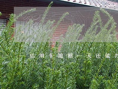 信用卡逾期一天还能办理分期吗