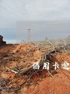 信用卡逾期一天还能用吗