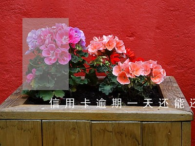 信用卡逾期一天还能还最低