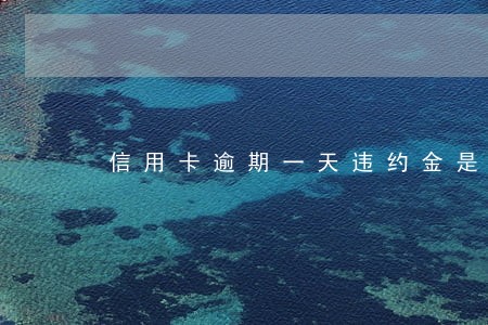 信用卡逾期一天违约金是多少 信用卡逾期一天违约金是多少