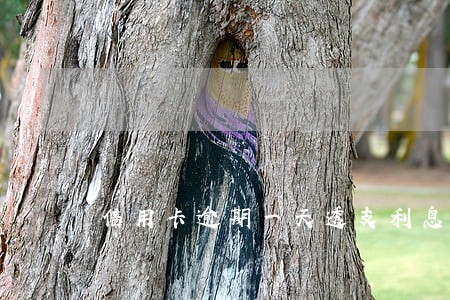 信用卡逾期一天透支利息