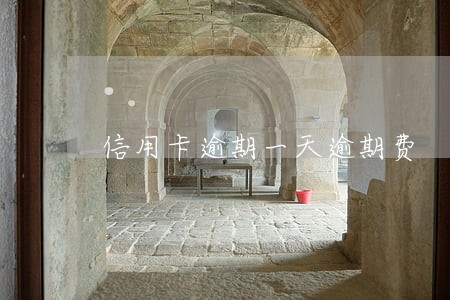 信用卡逾期一天逾期费 信用卡逾期一天逾期费