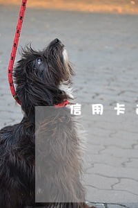 信用卡逾期一天需要交利息 信用卡逾期一天需要交利息