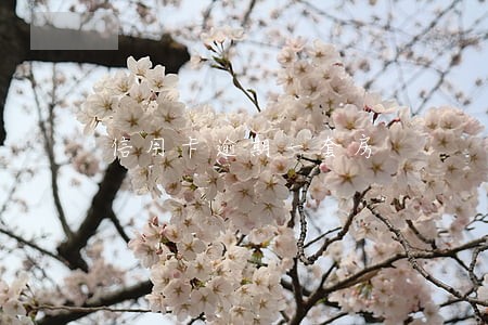 信用卡逾期一套房 信用卡逾期一套房