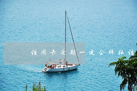 信用卡逾期一定会掉征信么