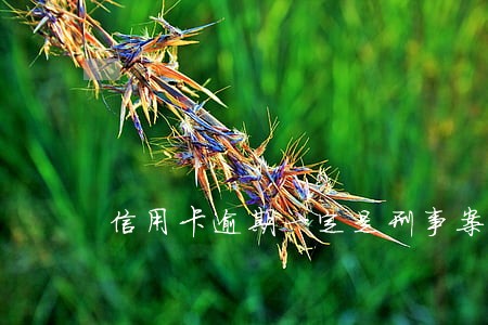 信用卡逾期一定是刑事案件吗 信用卡逾期一定是刑事案件吗