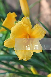 信用卡逾期一定要全款还请