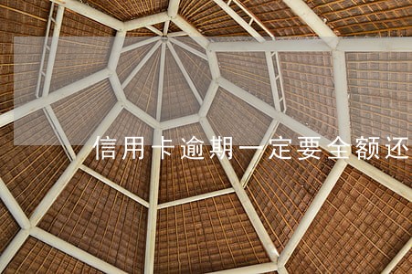 信用卡逾期一定要全额还款吗 信用卡逾期一定要全额还款吗