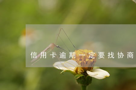 信用卡逾期一定要找协商还款 信用卡逾期一定要找协商还款