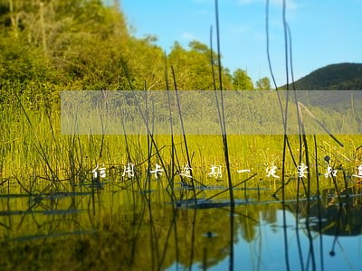 信用卡逾期一定要知道哪些事 信用卡逾期一定要知道哪些事
