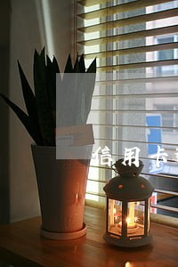 信用卡逾期一定要还吗 信用卡逾期一定要还吗
