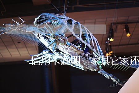信用卡逾期一家其它家还用保吗 信用卡逾期一家其它家还用保吗