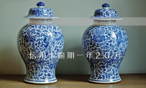 信用卡逾期一年20万