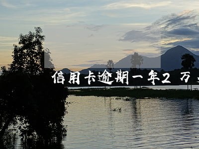 信用卡逾期一年2万多 信用卡逾期一年2万多