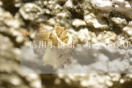信用卡逾期一年3000多 信用卡逾期一年3000多