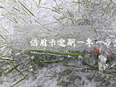 信用卡逾期一年一万怎么协商 信用卡逾期一年一万怎么协商