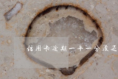 信用卡逾期一年一分没还 信用卡逾期一年一分没还