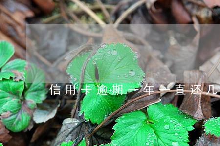 信用卡逾期一年一直还几十