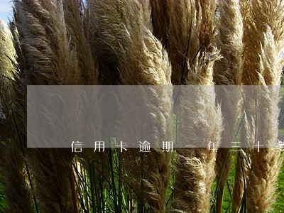 信用卡逾期一年三十多万 信用卡逾期一年三十多万