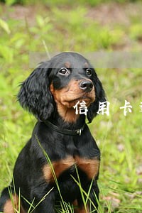 信用卡逾期一年不到两万会坐牢吗