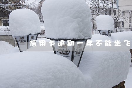 信用卡逾期一年不能坐飞机吗 信用卡逾期一年不能坐飞机吗