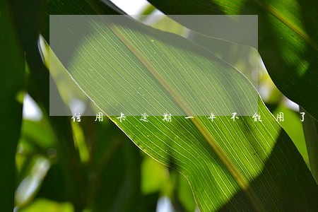 信用卡逾期一年不能用了怎么办 信用卡逾期一年不能用了怎么办