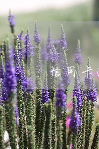 信用卡逾期一年不能还款会怎样