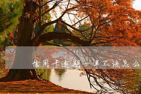 信用卡逾期一年不该怎么办