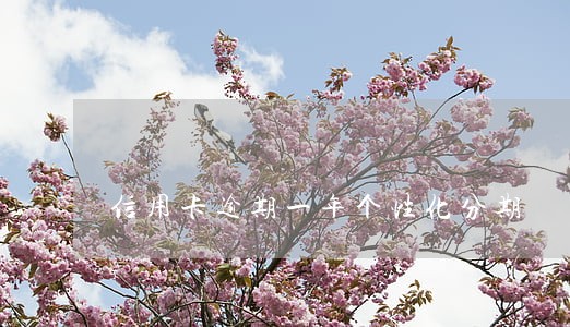 信用卡逾期一年个性化分期 信用卡逾期一年个性化分期