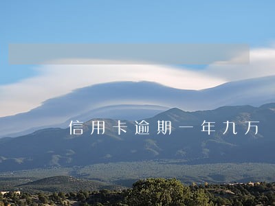信用卡逾期一年九万 信用卡逾期一年九万