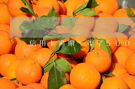 信用卡逾期一年了5000 信用卡逾期一年了5000