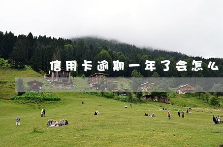 信用卡逾期一年了会怎么办 信用卡逾期一年了会怎么办