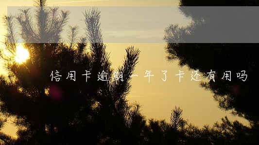 信用卡逾期一年了卡还有用吗 信用卡逾期一年了卡还有用吗