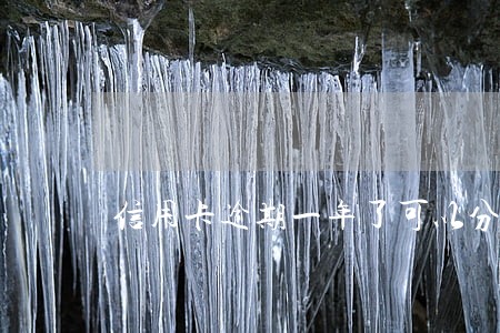 信用卡逾期一年了可以分期吗 信用卡逾期一年了可以分期吗