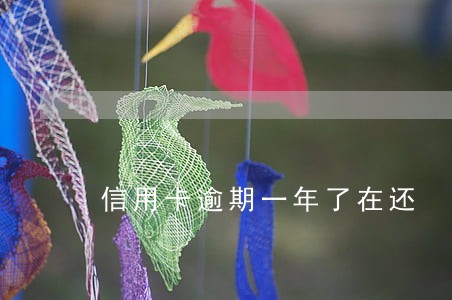 信用卡逾期一年了在还 信用卡逾期一年了在还