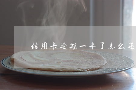 信用卡逾期一年了怎么还款 信用卡逾期一年了怎么还款
