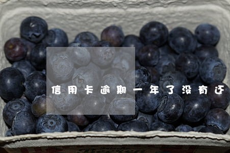 信用卡逾期一年了没有还会怎么样 信用卡逾期一年了没有还会怎么样