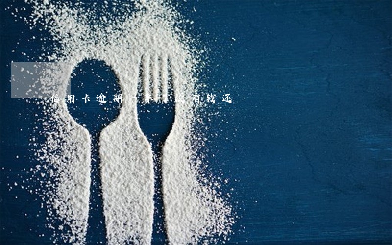 信用卡逾期一年了没有钱还
