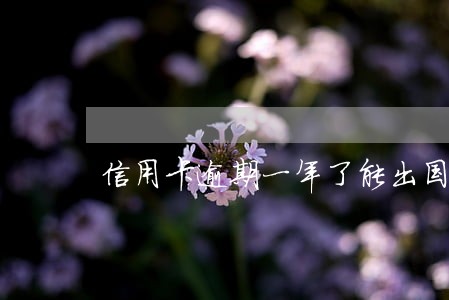 信用卡逾期一年了能出国劳务吗 信用卡逾期一年了能出国劳务吗