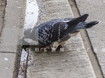 信用卡逾期一年了还能不能办 信用卡逾期一年了还能不能办