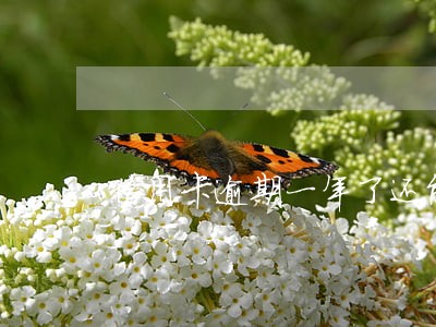 信用卡逾期一年了还能买火车票吗 信用卡逾期一年了还能买火车票吗