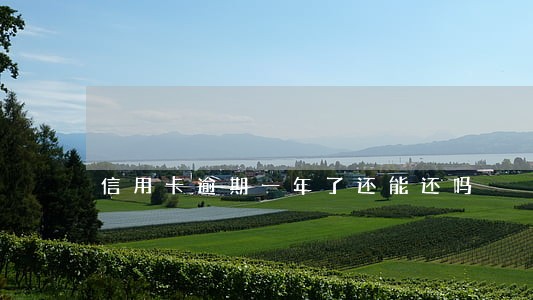 信用卡逾期一年了还能还吗 信用卡逾期一年了还能还吗